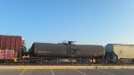 CGTX 31272